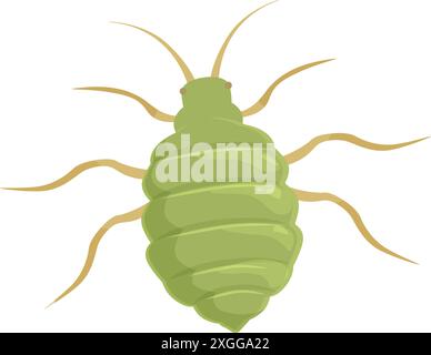 Green aphid insect with long legs and antennae, a common garden pest Stock Vector