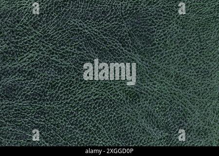 Lacquered dark green leather texture background with pattern, macro. Structure of emerald textile backdrop, closeup. Scale decorative teal fabric mate Stock Photo