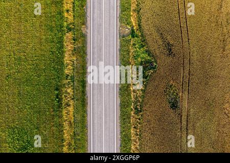 A long, straight road runs through fields of green and gold grass. Stock Photo