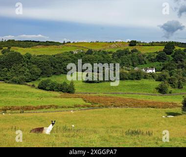 Cottages in Ulverston, Cumbria, southern Lake District, north west ...