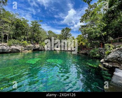 Cenote Casa Tortuga, caves and pools near Tulum and Playa Del Carmen. Mexico tourism destination. Stock Photo