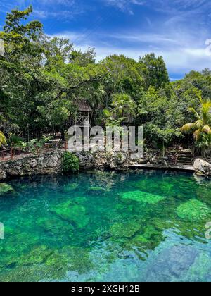 Cenote Casa Tortuga, caves and pools near Tulum and Playa Del Carmen. Mexico tourism destination. Stock Photo