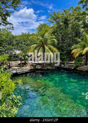 Cenote Casa Tortuga, caves and pools near Tulum and Playa Del Carmen. Mexico tourism destination. Stock Photo