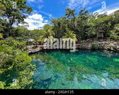 Cenote Casa Tortuga, caves and pools near Tulum and Playa Del Carmen. Mexico tourism destination. Stock Photo