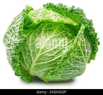 Savoy cabbage isolated on white background. File contains clipping path. Stock Photo