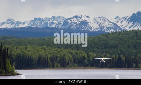 Float plane seaplane takes off from a lake in Alaska USA heading towards snow capped mountains and pine tree forest Stock Photo