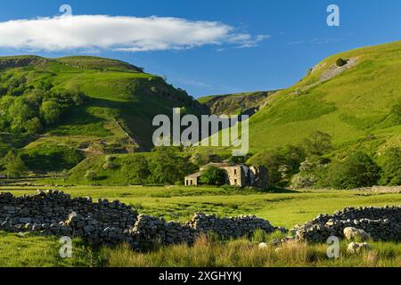 Picturesque Swaledale (house ruin, tributary valley, crumbling dry-stone wall, farmland pastures, blue sky) - nr Muker, Yorkshire Dales, England, UK. Stock Photo