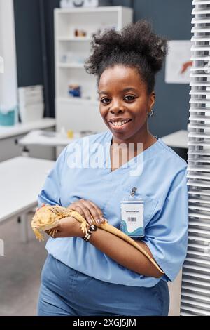 Vertical portrait shot of modern female veterinarian of Black ethnicity with curly hair and cute little lizard in hands wearing blue medical scrubs smiling and looking at camera in vets office Stock Photo