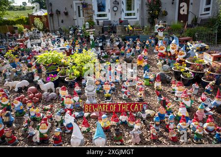 Garden Gnomes on display for charity, Town Yetholm, Scottish Borders, UK Stock Photo