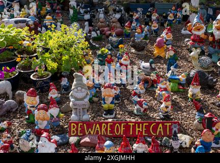 Garden Gnomes on display for charity, Town Yetholm, Scottish Borders, UK Stock Photo