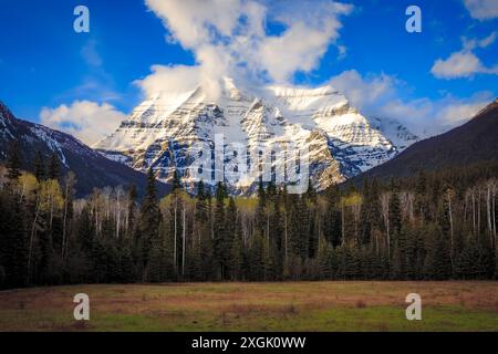 Majestic snow-capped mountain towering over a forest and meadow, with dramatic clouds building in the sky Stock Photo