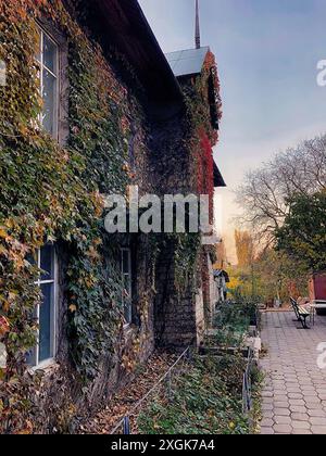 Old house completely overgrown with ivy in autumn in Pyatigorsk Stock Photo