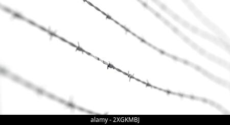 Barbed wire isolated on white background - 3D illustration Stock Photo