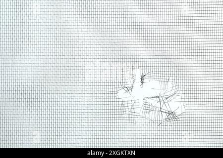 Torn window screen against white background, closeup Stock Photo
