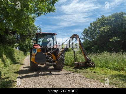 A tractor with a rotating blade attachment mows a hillside, leaving a swath of cut grass in its wake. The tractor travels on a dirt path with a view o Stock Photo