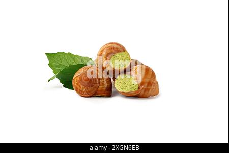 Gefuellte Weinbergschnecken, burgunderrot, auf weissem Hintergrund, isoliert Stock Photo