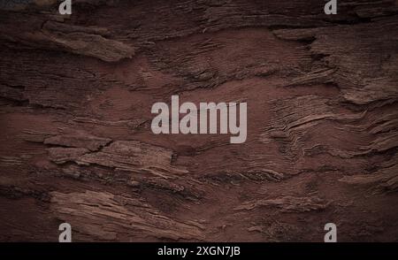 Background, walnut bark, wood texture, Horizontal, close-up, Rustic Stock Photo