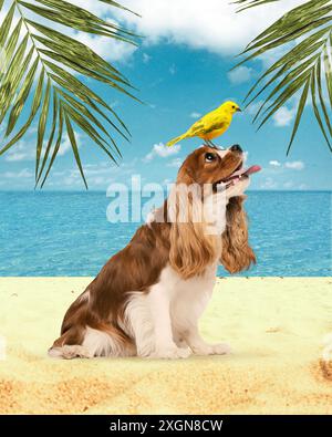 Cavalier King Charles Spaniel sitting happily on sandy beach, with bright yellow bird, parrot on his head. Tropical summer paradise. Contemporary art Stock Photo