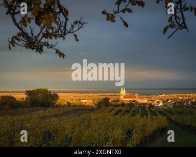 View of Village of Rust on lake Neusiedlersee in Burgenland Stock Photo