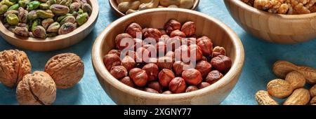 Hazelnuts, walnuts and other nuts panorama, an assortment Stock Photo