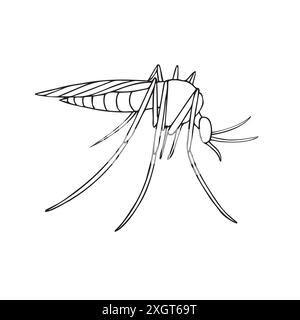 Vector hand drawn doodle sketch outline mosquito isolated on white background Stock Vector