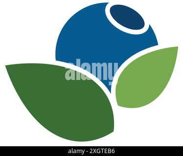 Blueberry Fruit logo designs vector, Illustration of Blueberry template Stock Vector