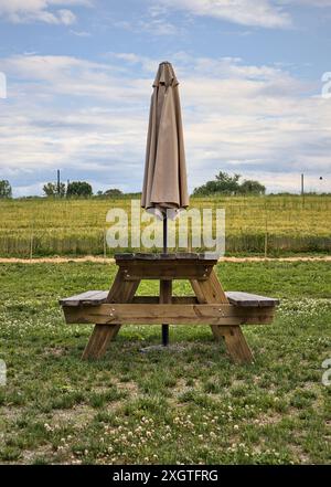 picnic table with folded umbrella in the back yard of a brewery with field of barley grain in the background (summer travel recreation) empty no peopl Stock Photo