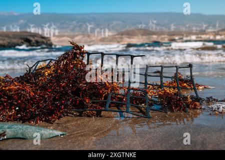 A net is laying on the beach next to a body of water. The net is covered in seaweed and he is broken. The scene is desolate and somewhat eerie, with t Stock Photo