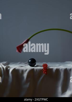 An artistic still life featuring a folded pink calla lily flower, a reflective black sphere and a currant bunch ornament, all carefully arranged on a Stock Photo