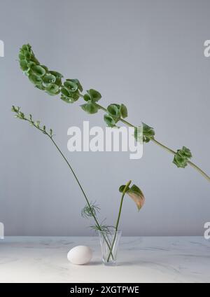 An elegant minimalist composition featuring a vibrant green plant with rounded leaves and budding flowers, complemented by an egg and an intricate cle Stock Photo