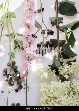 A serene layout featuring a collection of delicate pink wildflowers, lush green leaves, and clusters of ripe and unripe berries, all bathed in gentle Stock Photo
