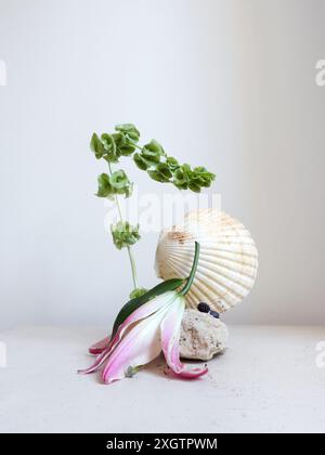 A unique composition featuring a seashell and a fallen flower on a neutral background, creating a nature-inspired still life Stock Photo