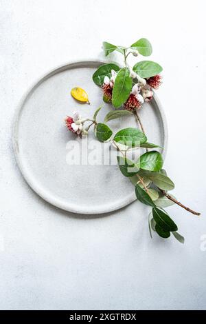 Top view stylish, minimalist table setting featuring Feijoa, a unique fruit native to Brazil, artistically arranged with its leaves and flowers on a s Stock Photo