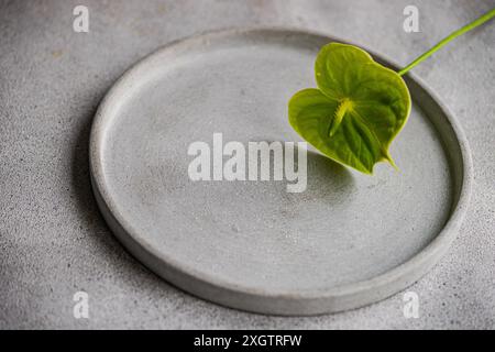 From above, a single Anthurium leaf elegantly rests on a textured concrete plate, showcasing simplicity and natural beauty. Stock Photo