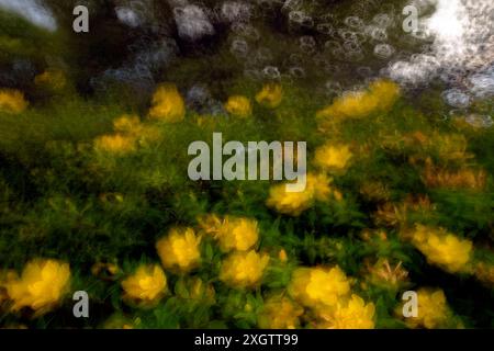 Artistic impression of a lush garden scene with vibrant yellow flowers, rendered with a textured, painterly effect reminiscent of a fine art painting Stock Photo