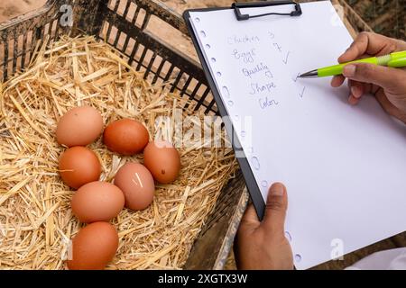 Cropped unrecognizable veterinarian hand with a clipboard assessing the quality of chicken eggs laid in hay. The clipboard contains notes on chicken, Stock Photo