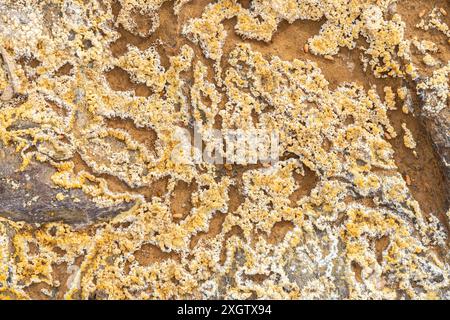 An intriguing abstract image showcasing earthy textures and crystalline structures spread across the rough surface, offering a unique view of natural Stock Photo