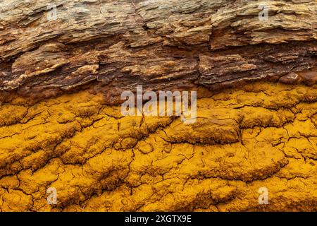 Captivating abstract photograph featuring a striking contrast between rugged, dark brown rock textures and vibrant orange clay The natural patterns pr Stock Photo