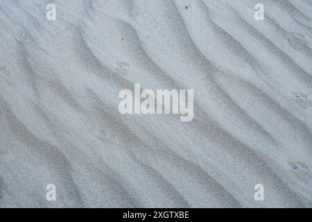 This photo captures the intricate patterns and rigorous details of natural sand, emphasized by the soft light that casts subtle shadows and highlights Stock Photo