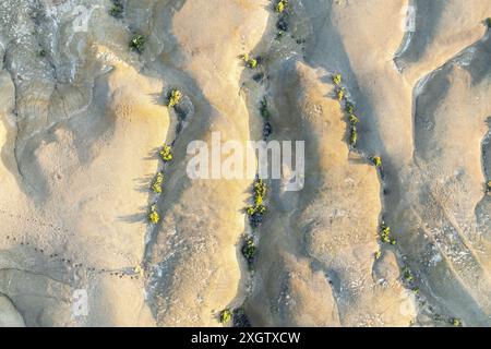 An aerial shot captures the complex textures and subtle hues of the Bisti Badlands, showcasing sporadic greenery amidst the sandy and rocky landscape Stock Photo