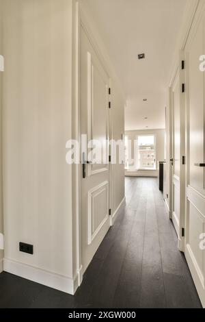 A modern home interior showcasing a well-lit hallway with dark wooden floors and white paneled doors. Stock Photo