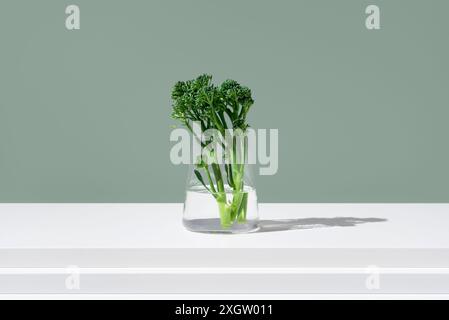 Crisp broccolini stalks, also known as Tenderstem and baby broccoli, are displayed in a clear glass jar filled with water against a pale green backgro Stock Photo