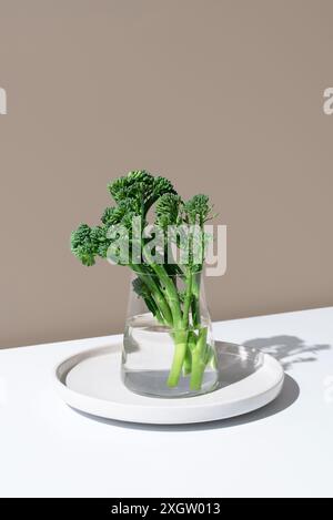 Fresh broccolini stalks, also known as baby broccoli or tenderstem, displayed in a clear glass jar filled with water, against a minimalist beige backg Stock Photo