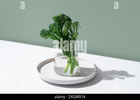 Fresh broccolini stalks, also known as Tenderstem or baby broccoli, are elegantly displayed in a glass jar with water on a white plate. Stock Photo
