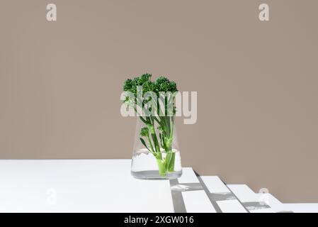 Vibrant broccolini stalks, known as Tenderstem and baby broccoli, showcased in a glass jar with water against a beige backdrop, illuminated by natural Stock Photo