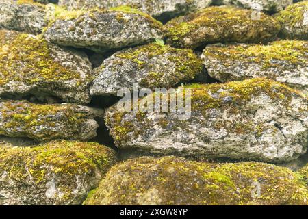 Stone wall covered with green moss and lichen. Natural background. Stock Photo