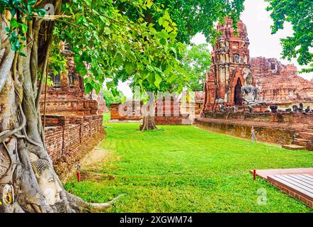 The head of Buddha statue in banyan tree roots in ancient temple of Wat Mahathat, Ayutthaya, Thailand Stock Photo