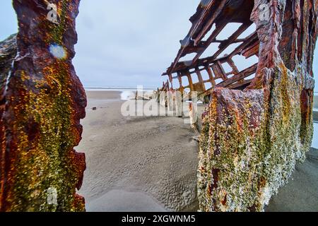 Rusty Shipwreck Remains on Sandy Beach Low Angle Perspective Stock Photo