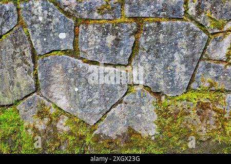 Rustic Stone Wall with Moss Close-Up Texture Stock Photo