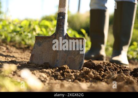 Farmer digging soil with shovel on sunny day, closeup Stock Photo